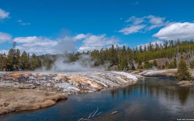 A few observations from opening days in Yellowstone