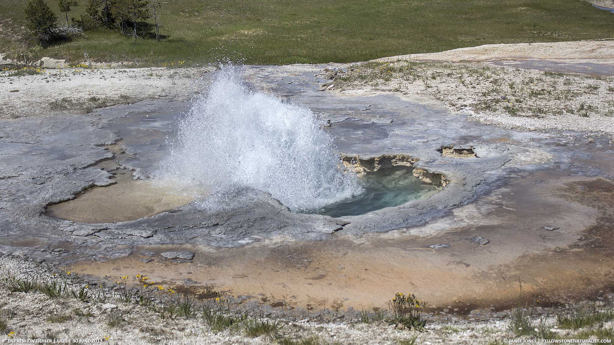 Depression Geyser in eruption in Yellowstone