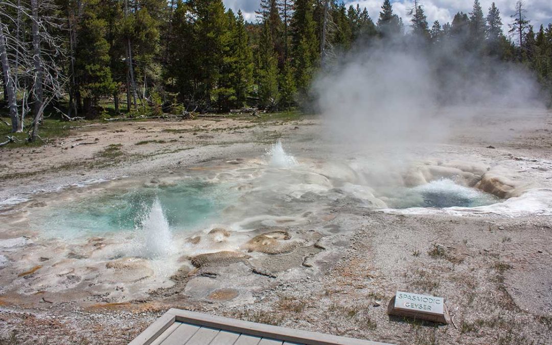 Get to know the area behind Spasmodic Geyser