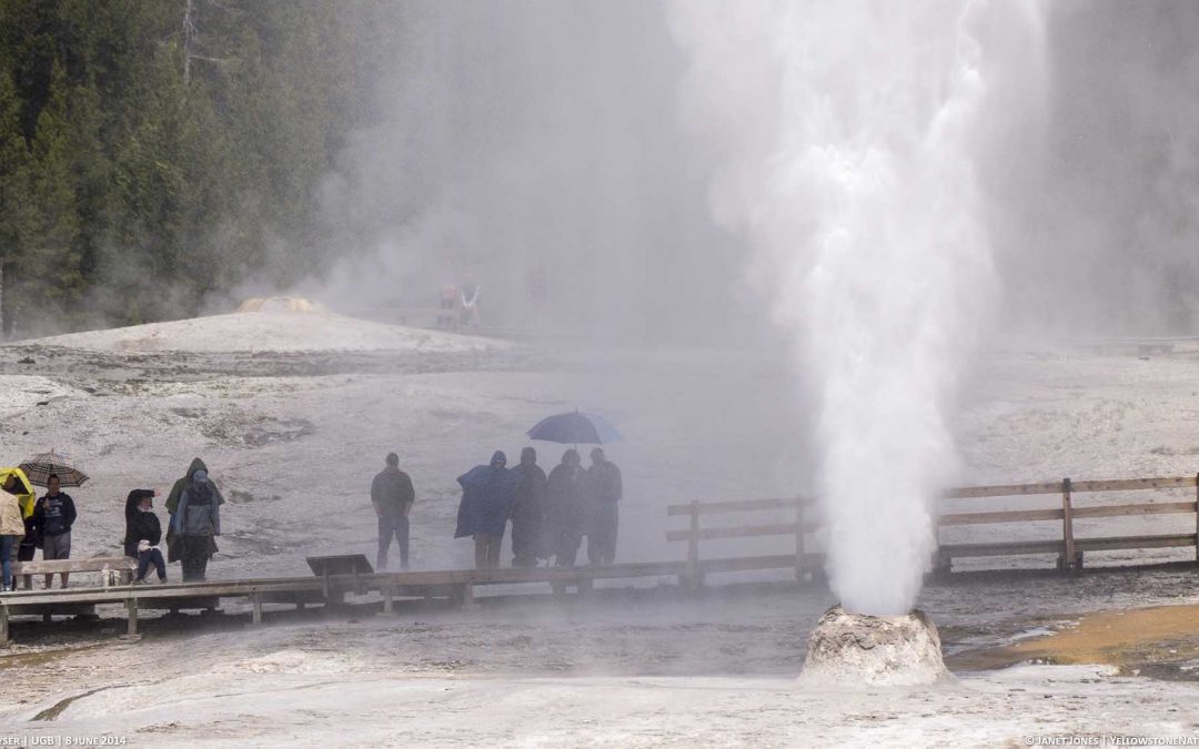 Get to know Beehive Geyser