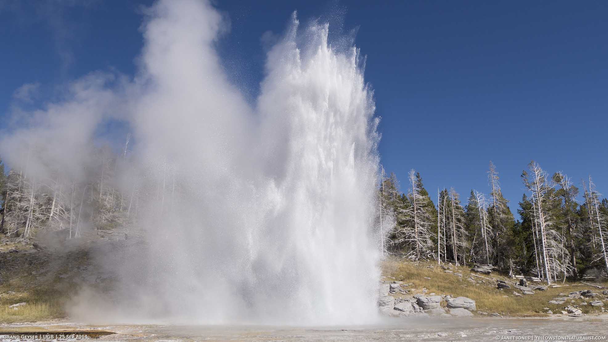 Get to know Grand Geyser Yellowstone Naturalist