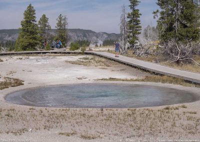 Oval Spring full on 28 Aug 2015 in Yellowstone