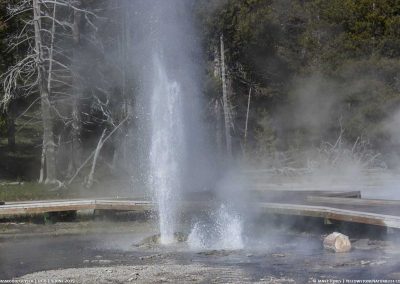 Penta Geyser in eruption in Yellowstone