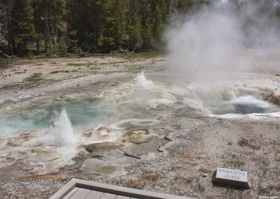 Spasmodic Geyser in Yellowstone