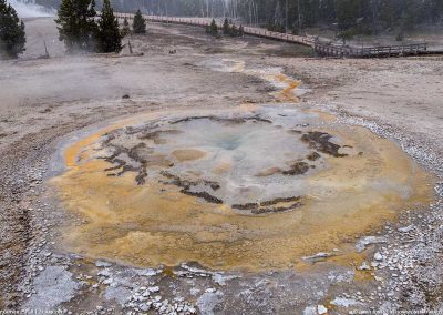 Tardy Geyser 21 Apr 2017