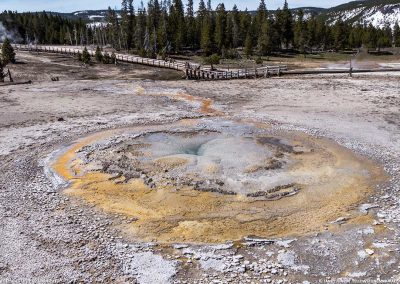 Tardy Geyser 22 Apr 2017