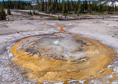 Tardy Geyser 07 May 2017