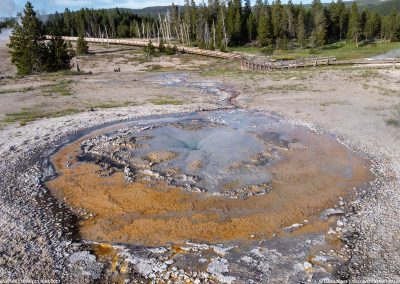 Tardy Geyser 21 June 2017