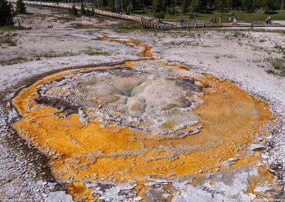 Tardy Geyser 02 July 2017