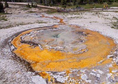 Tardy Geyser 08 July 2017