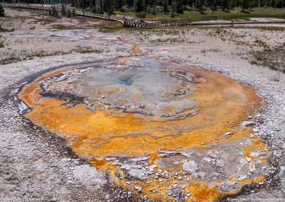 Tardy Geyser 11 July 2017