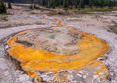 Tardy Geyser 19 July 2017