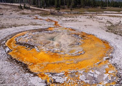 Tardy Geyser 06 Aug 2017