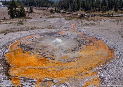 Tardy Geyser 16 Aug 2017