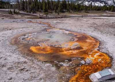 Tardy Geyser 04 May 2018