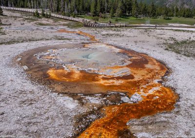 Tardy Geyser 07 June 2018