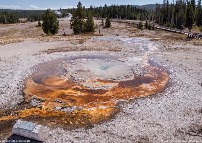 Tardy Geyser 16 Sept 2018