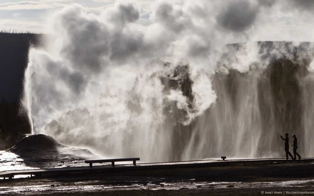 Get to know Lion Geyser