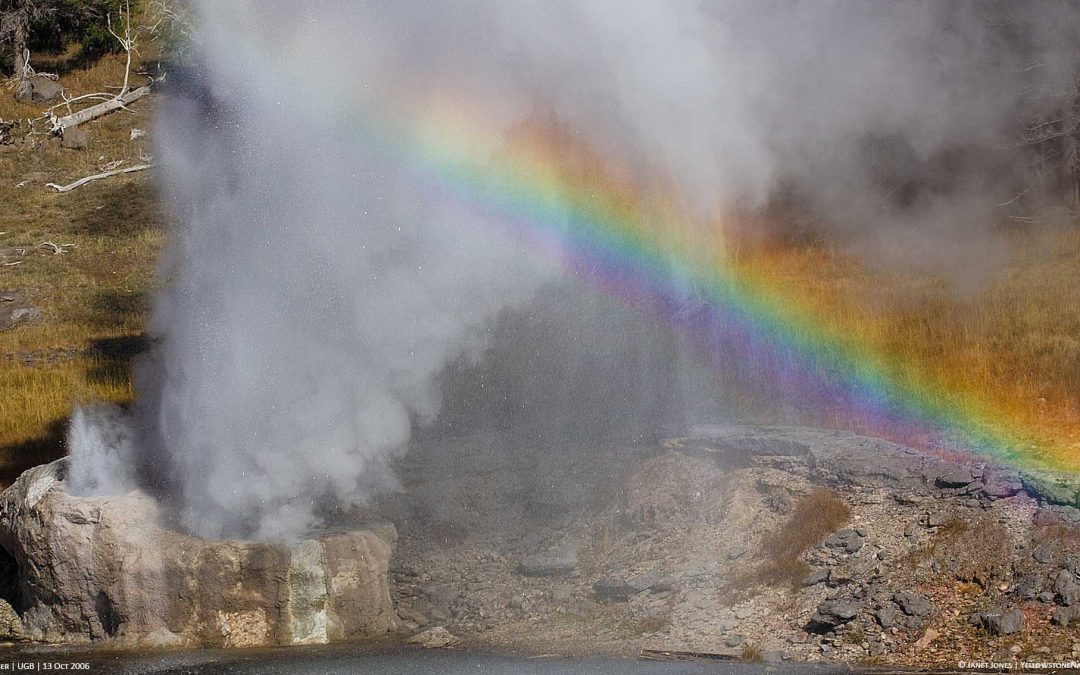 Get to know Riverside Geyser