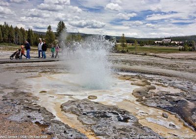 Sawmill Geyser in Eruption in Yellowstone