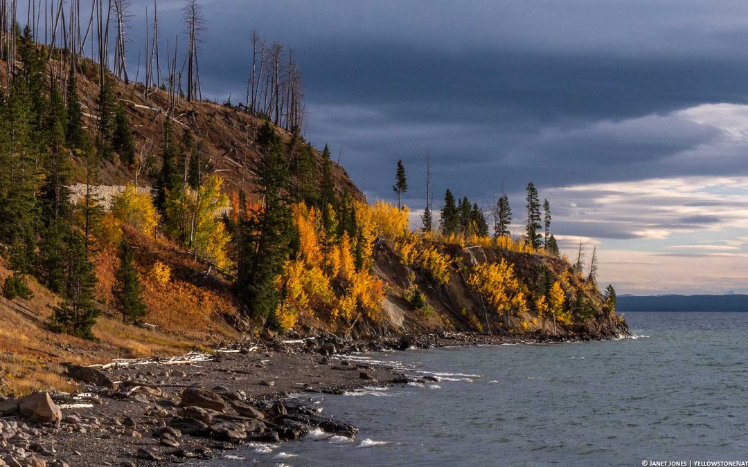 Field Journal Entry: 1 Oct 2018 Driving in to Yellowstone