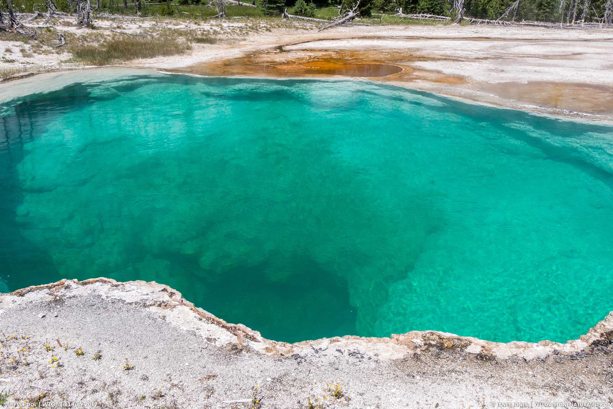 Abyss Pool Heating Up - July 2017 - Yellowstone Naturalist