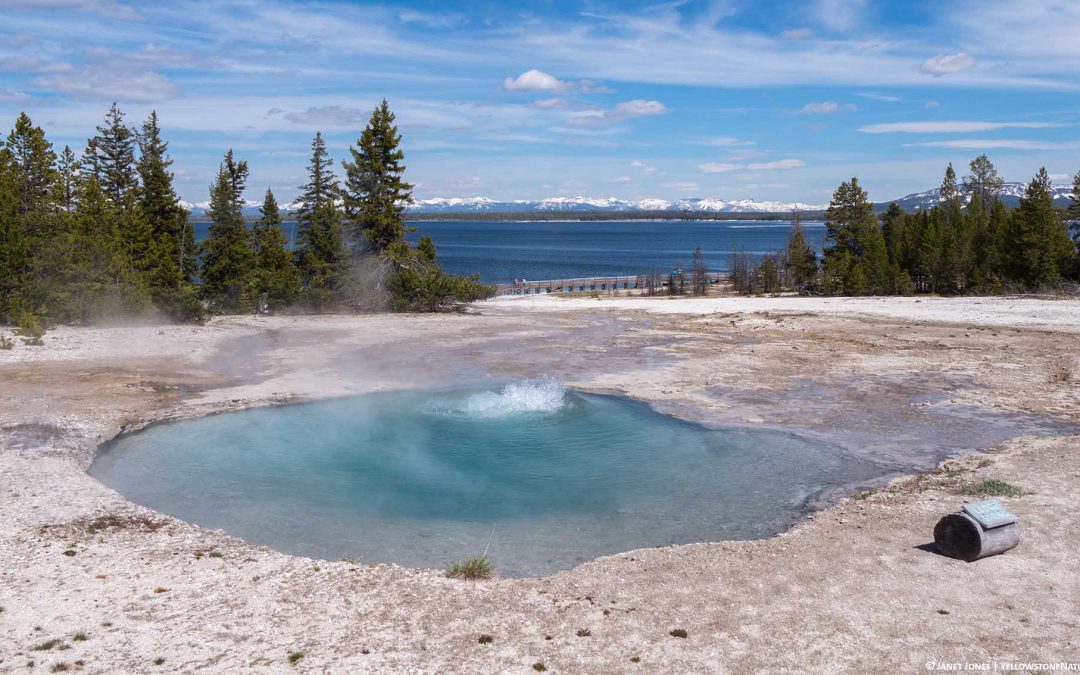 Watching Ledge Spring Erupt