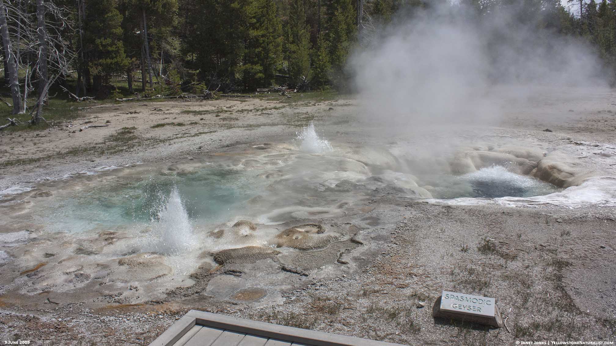 spasmodic-geyser-observations-23-april-2017-yellowstone-naturalist