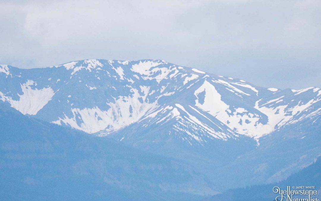 Ishawooa Horse’s Head