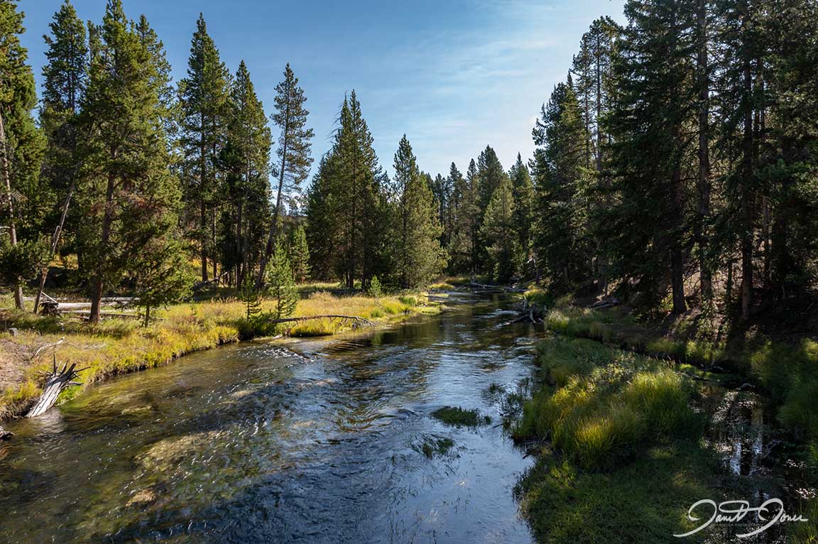 June 2020 Newsletter free image