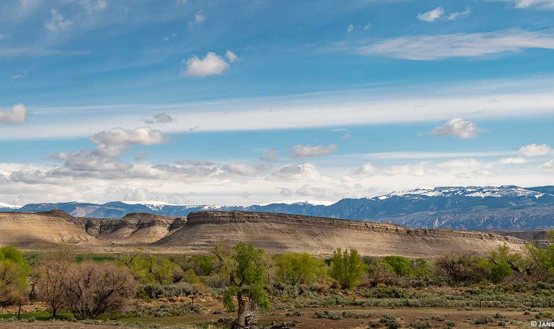 Mother’s Day drive to the Bighorn Mountains