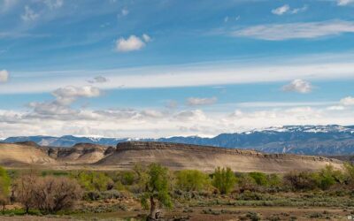 Mother’s Day drive to the Bighorn Mountains