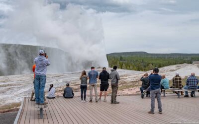 Social Distancing in Yellowstone