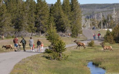What’s June like in Yellowstone?