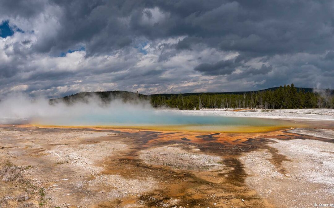 Geyser Watch Report Early June 2020