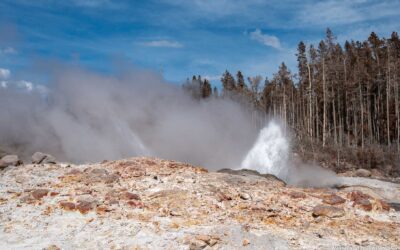A Day at Steamboat Geyser
