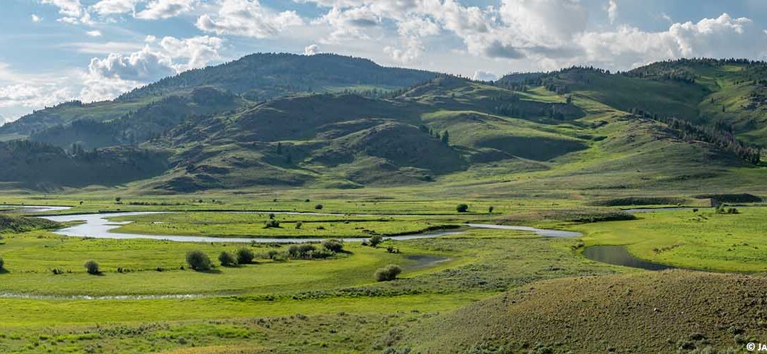 Friday Afternoon on the Northern Range of Yellowstone