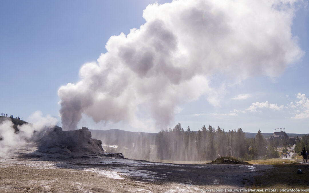 Learning about Geysers