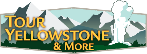 Tour Yellowstone Private Guided Tours