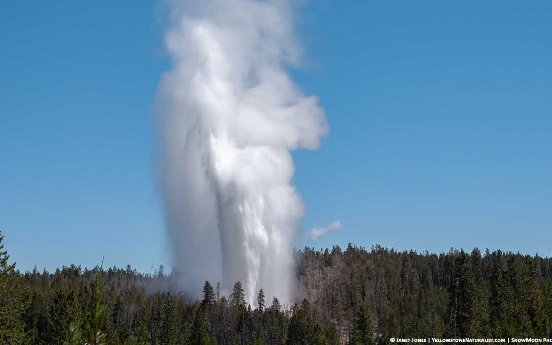 Timing for Steamboat Geyser 19 July 2020