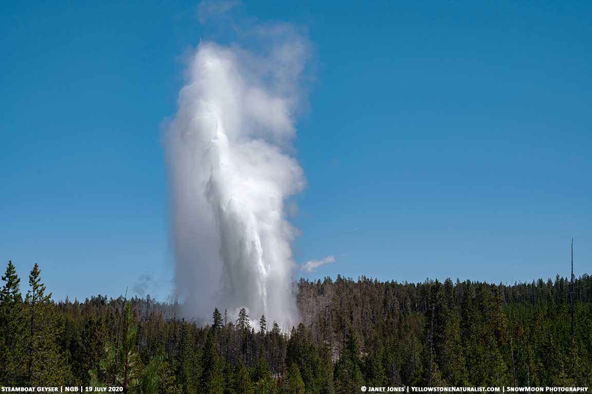 The height of a Steamboat Geyser eruption is seen from a distance.