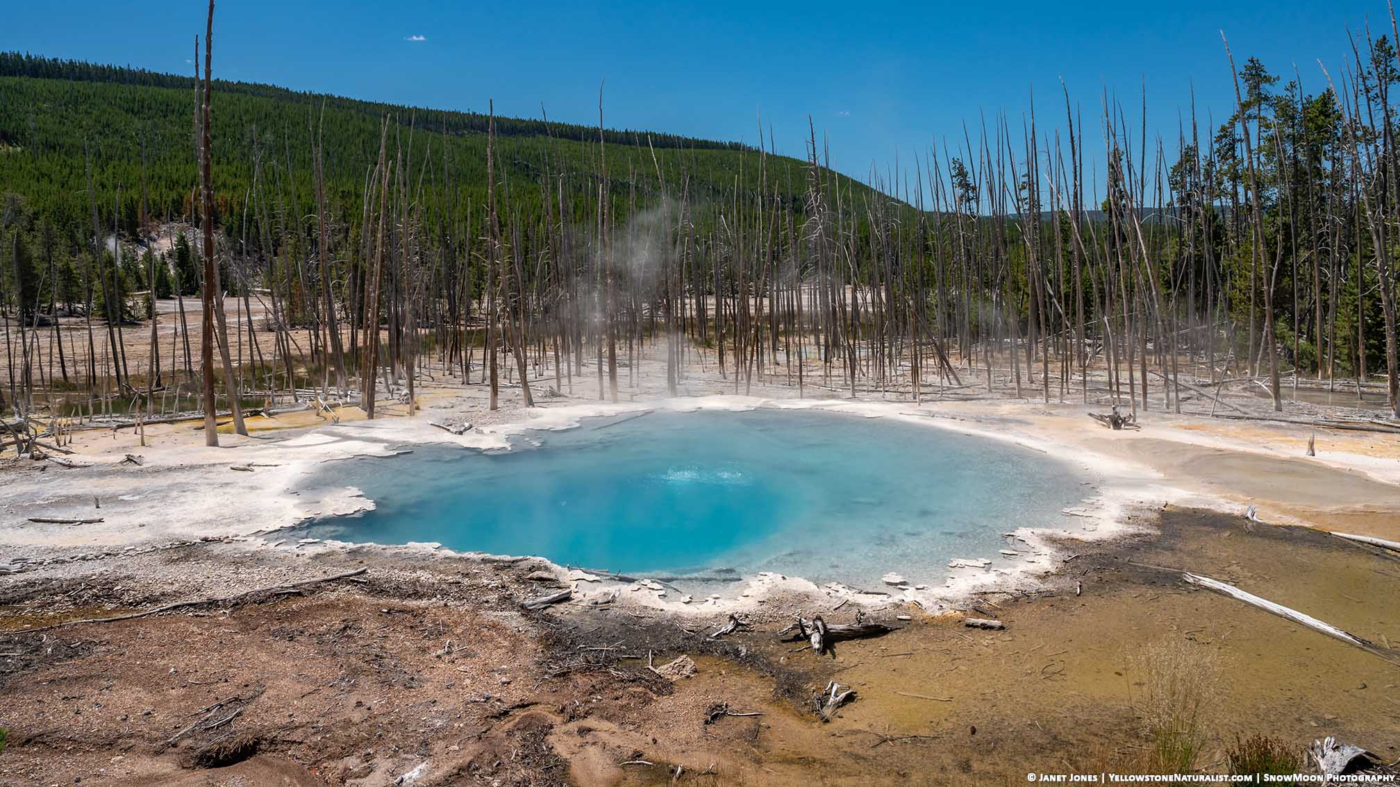Cistern Pool starts to drop after an eruption of Steamboat in Yellowstone's Norris Geyser Basin