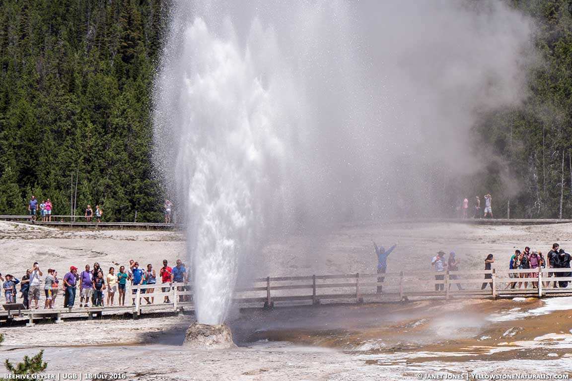 People in Yellowstone enjoying an eruption of Beehive Geyser