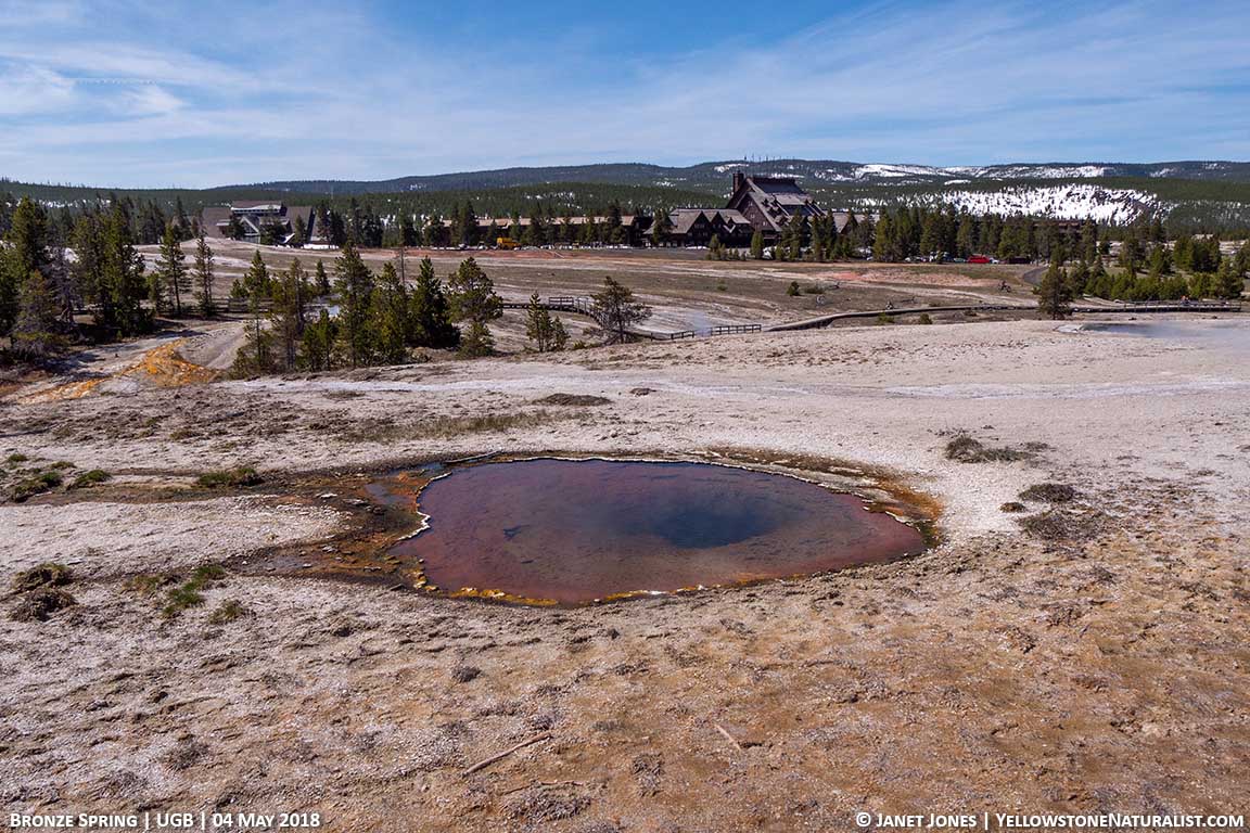 Bronze Spring on Geyser Hill in Yellowstone's Upper Geyser Basin