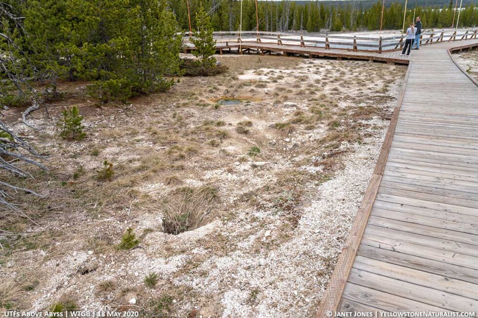 Field Journal Entry West Thumb 18 May 2020 Yellowstone Naturalist