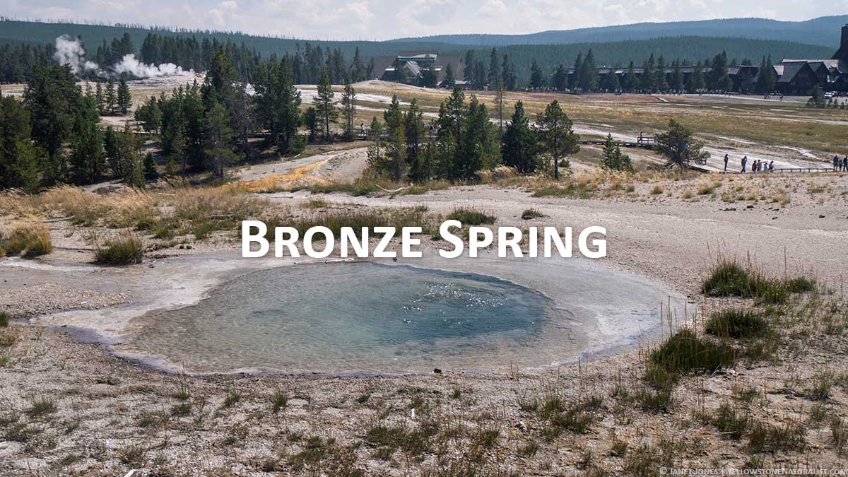 Bronze Spring