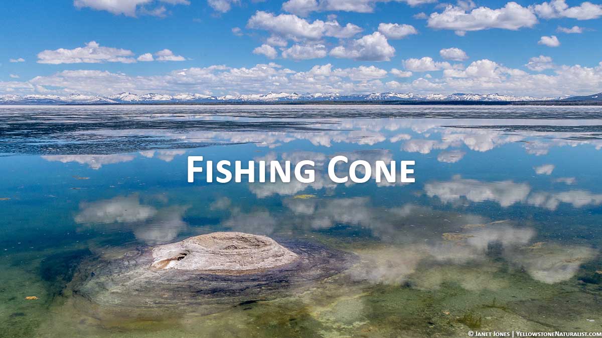 Fishing Cone