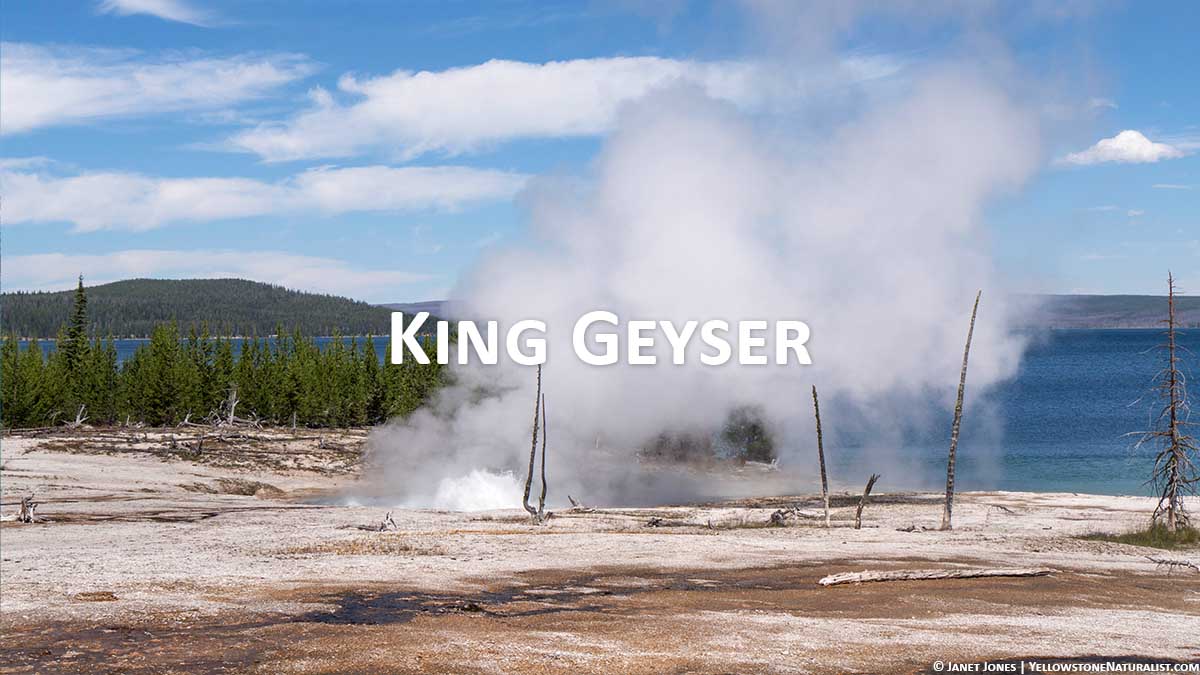 King Geyser
