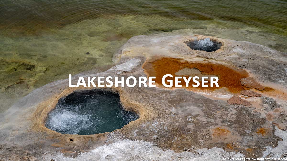 Lakeshore Geyser