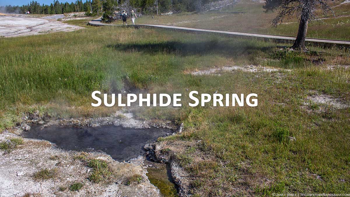 Sulphide Spring